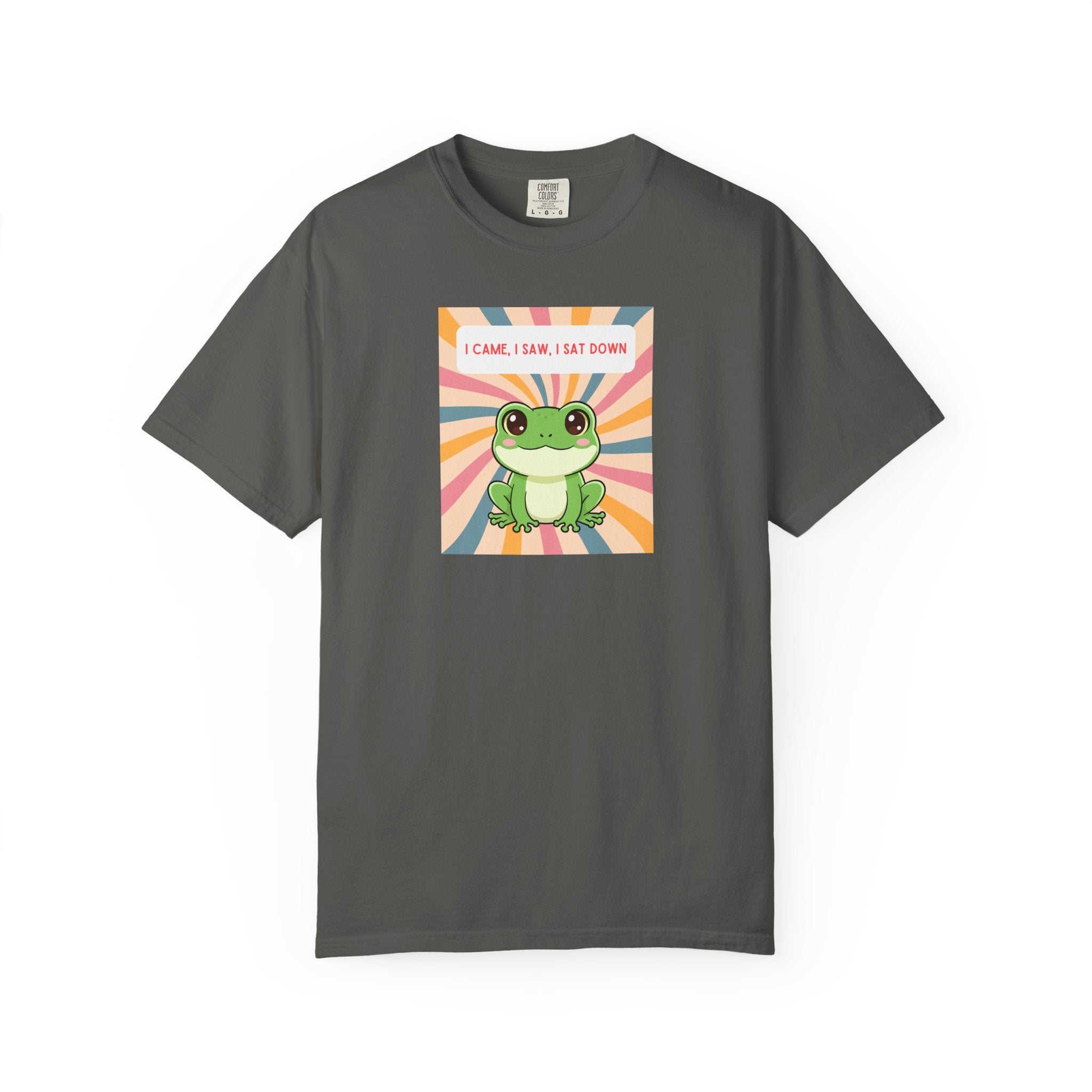 I Came, I Saw, I Sat Down Pond Frog T-Shirt | Retro Rainbow Illustration